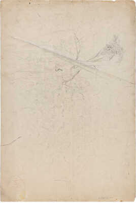 Шишкин Иван Иванович. Камни. Сосны